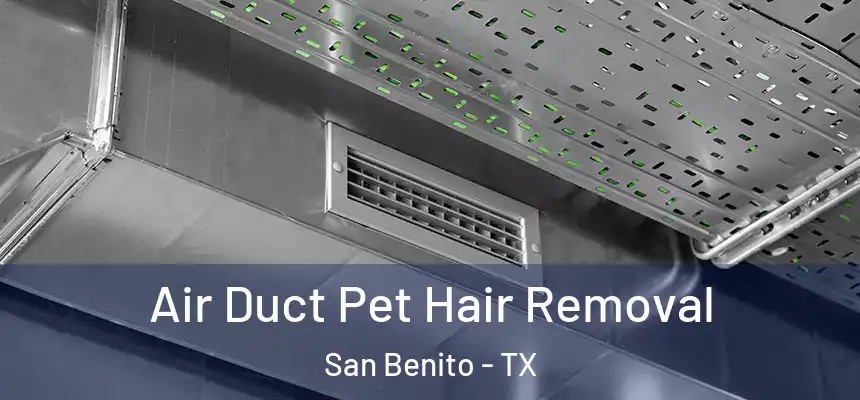  Air Duct Pet Hair Removal San Benito - TX