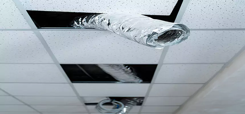 Our Air Duct Pet Hair Removal Services in San Benito, TX