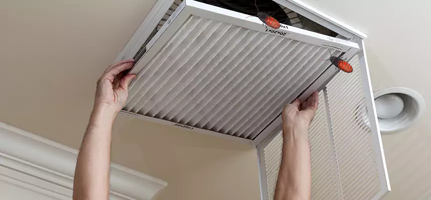 Our Insect Removal from Air Ducts Services in San Benito, TX