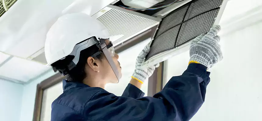 Our Mold & Mildew Removal from Air Ducts Services in San Benito, TX