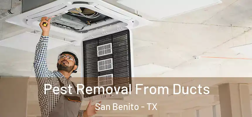  Pest Removal From Ducts San Benito - TX