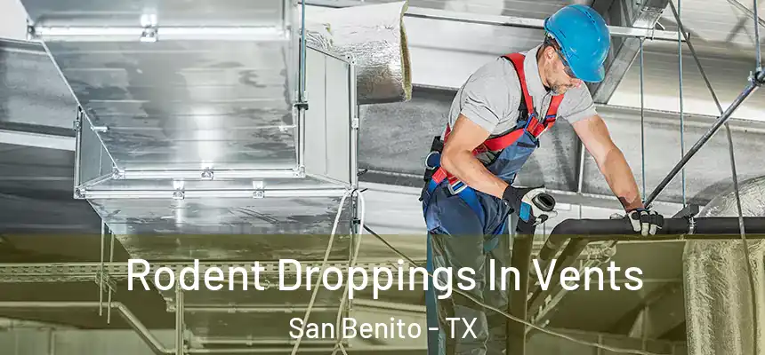  Rodent Droppings In Vents San Benito - TX
