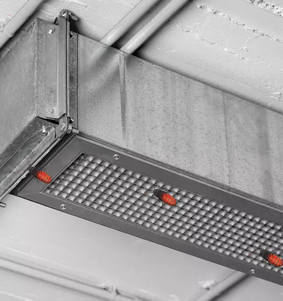 About Air Duct Cockroach Removal in San Benito, TX