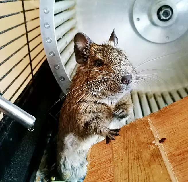 Why Homeowners & Businesses Trust Us San Benito, TX