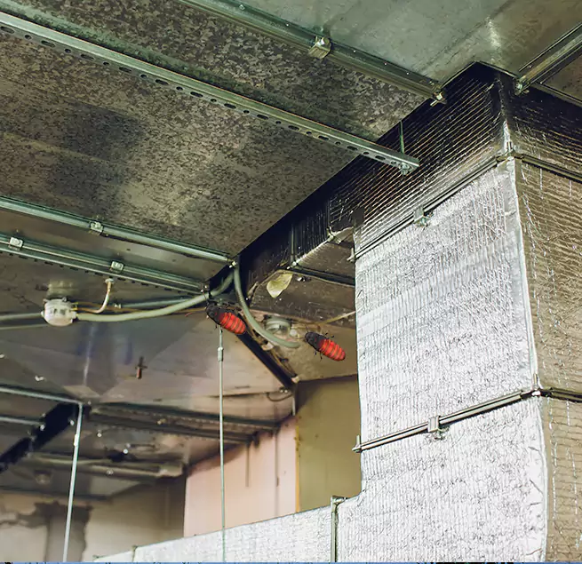 Why Homeowners & Businesses Trust Us San Benito, TX?