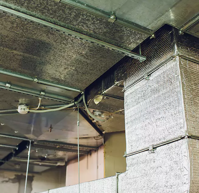 Why Homeowners & Businesses Trust Us in San Benito, TX?